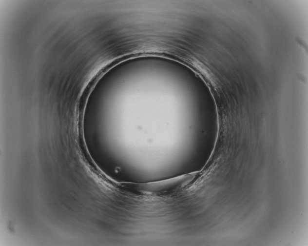 X0000098041124200804071434
