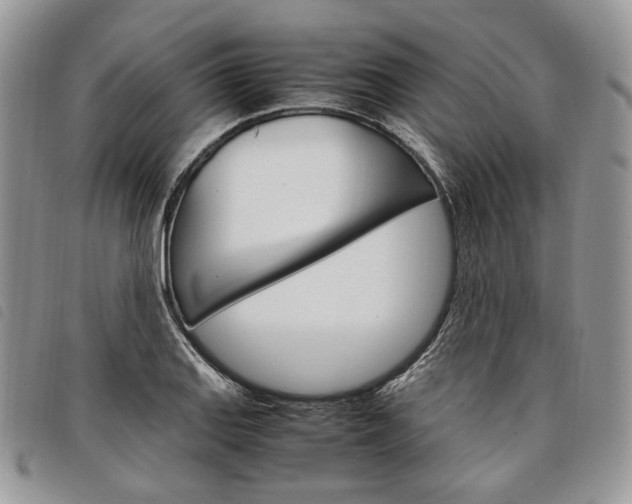 X0000098041127200804071434