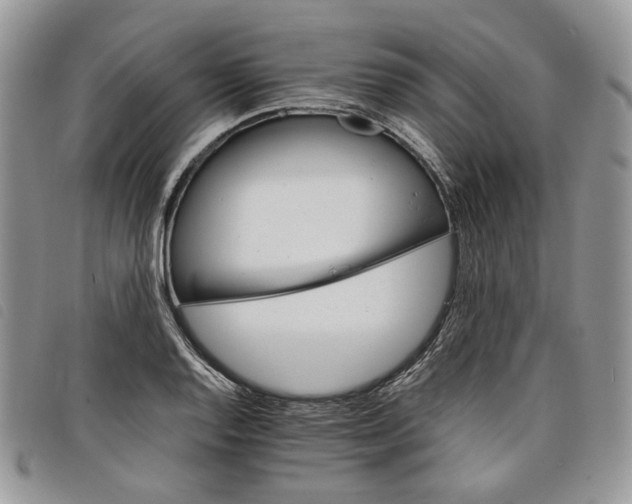 X0000098041128200804071434