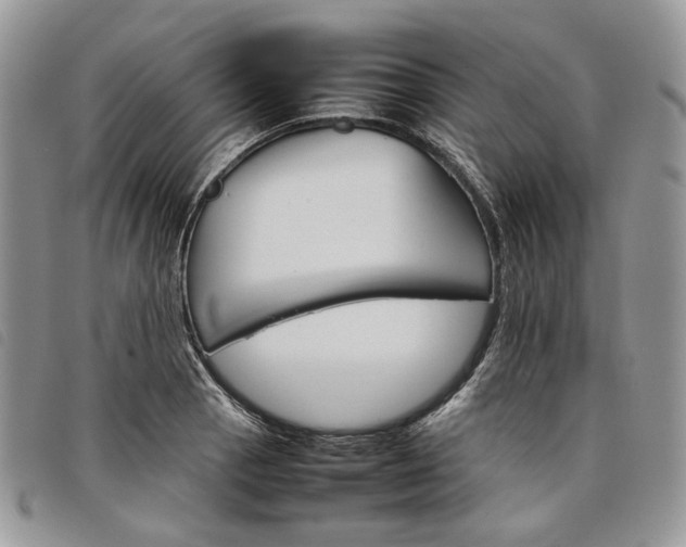 X0000098041129200804071434