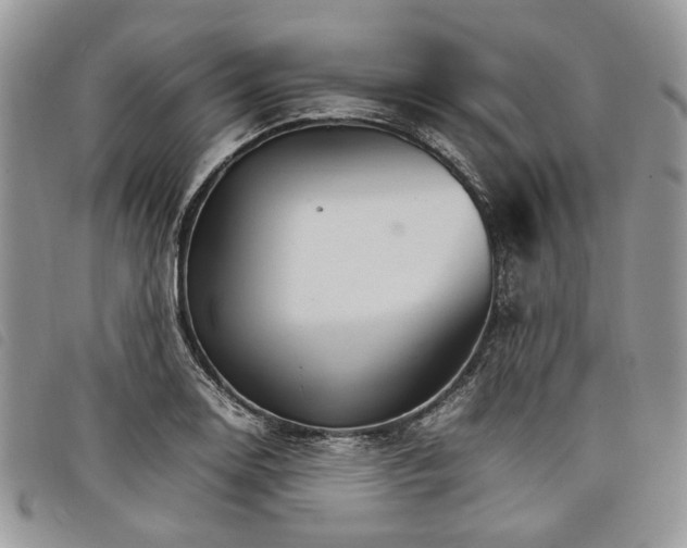 X0000098041130200804071434