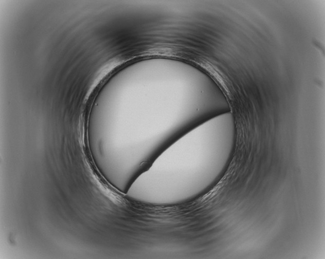 X0000098041131200804071434