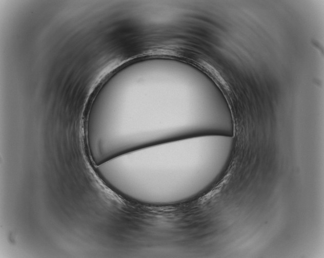 X0000098041133200804071434