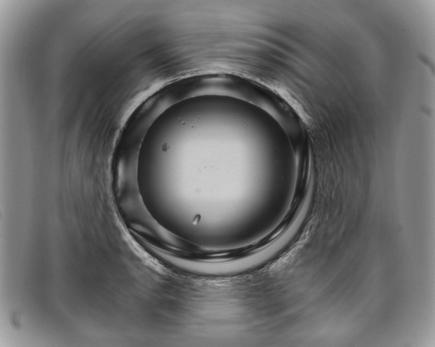 X0000098041134200804071434