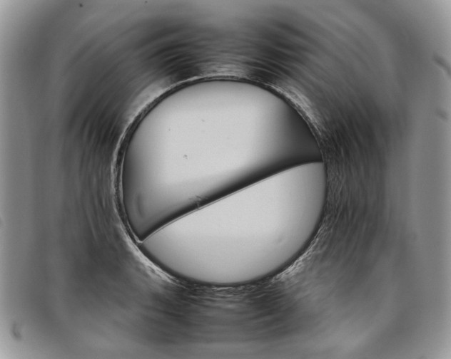 X0000098041135200804071434