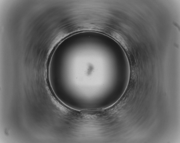 X0000098041136200804071434