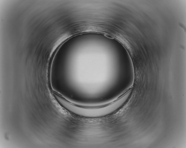 X0000098041138200804071434