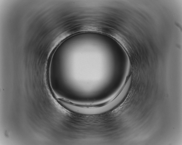 X0000098041139200804071434