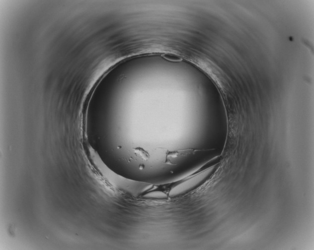 X0000098041140200804071434