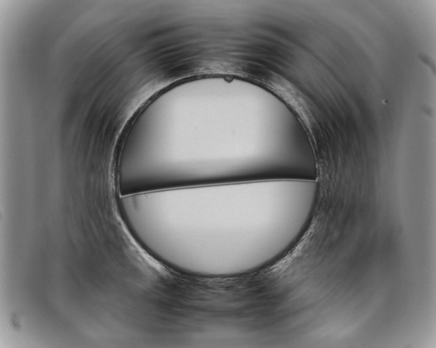 X0000098041141200804071434