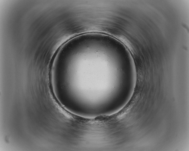 X0000098041142200804071434