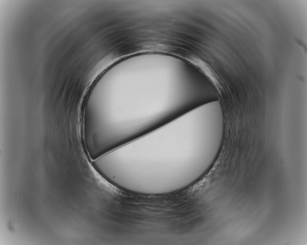 X0000098041143200804071434