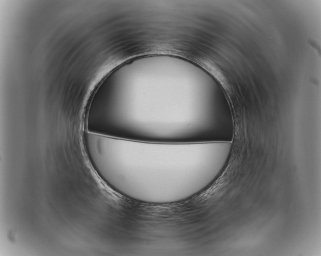 X0000098041144200804071434