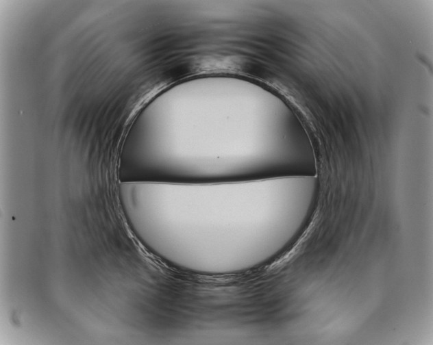 X0000098041145200804071434