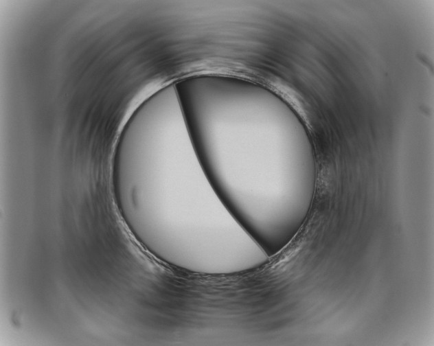 X0000098041146200804071434
