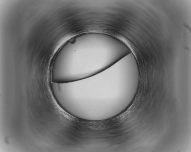 X0000098041147200804071435