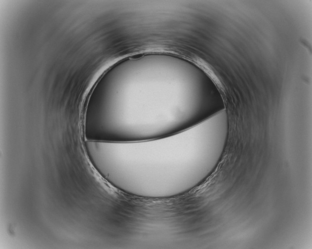 X0000098041148200804071435