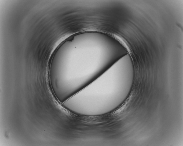 X0000098041149200804071435