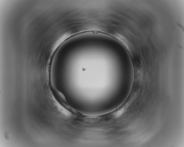 X0000098041151200804071435