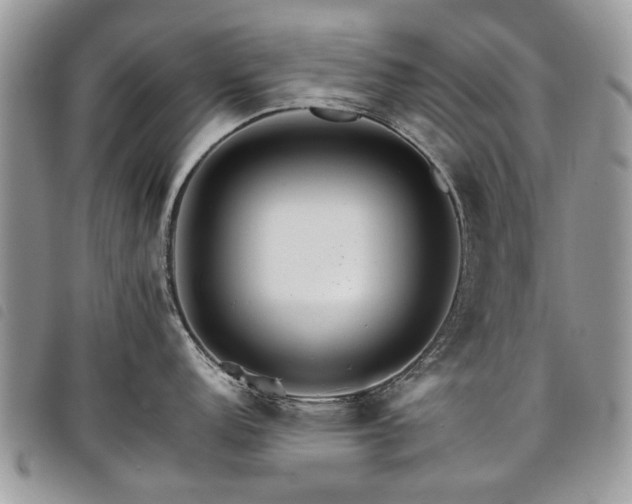 X0000098041152200804071435