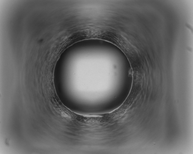 X0000098041153200804071434