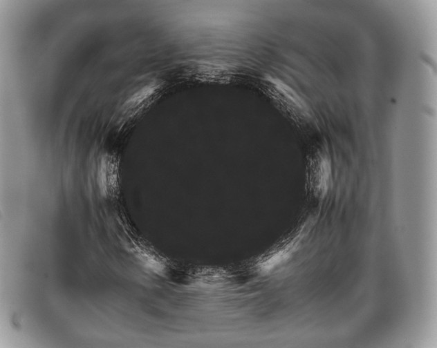X0000098041154200804071434
