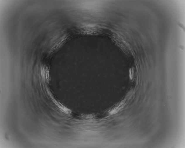 X0000098041155200804071434