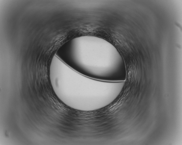 X0000098041156200804071434