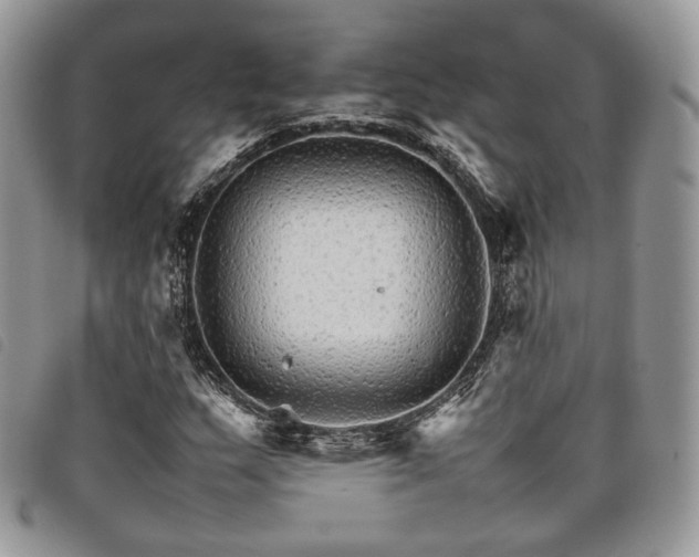 X0000098041159200804071434