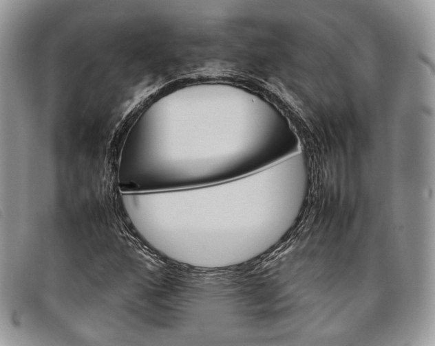 X0000098041160200804071434