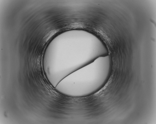 X0000098041162200804071434