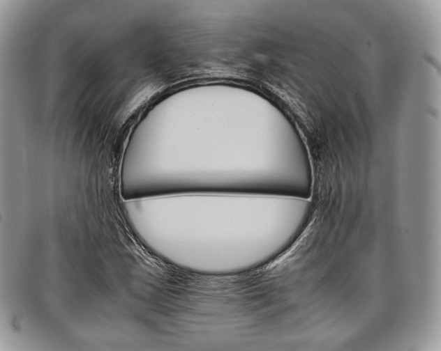 X0000098041163200804071434