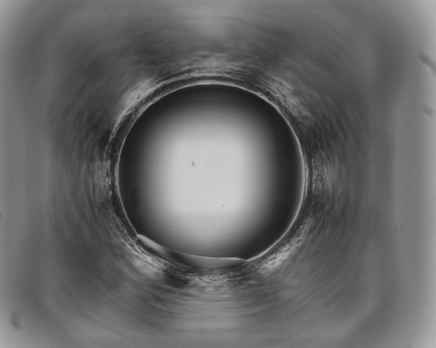 X0000098041164200804071434