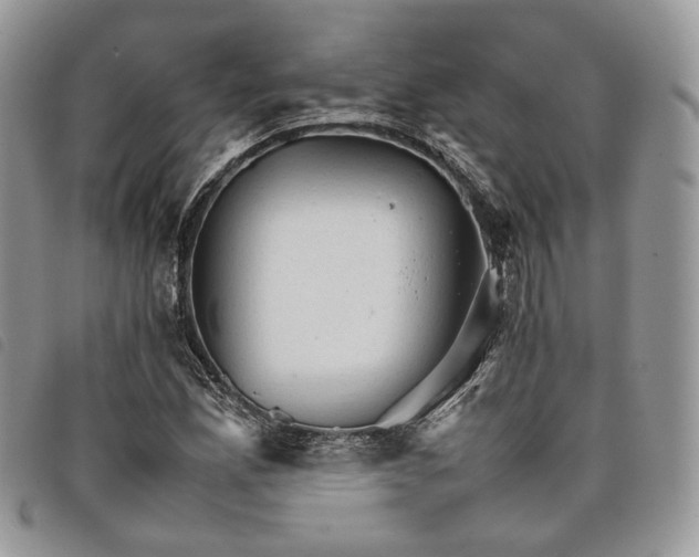 X0000098041165200804071434