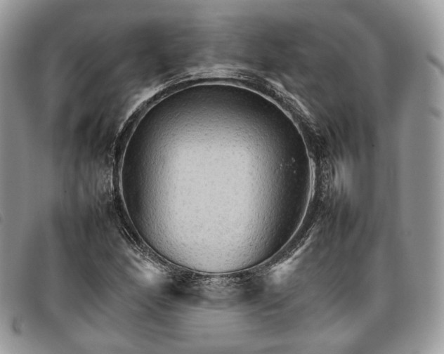 X0000098041166200804071434