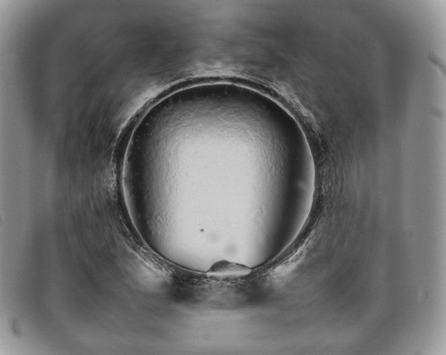 X0000098041167200804071434
