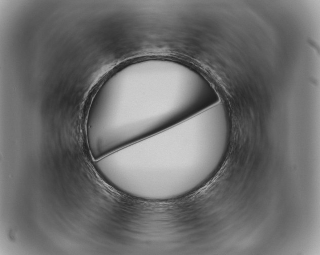 X0000098041168200804071434