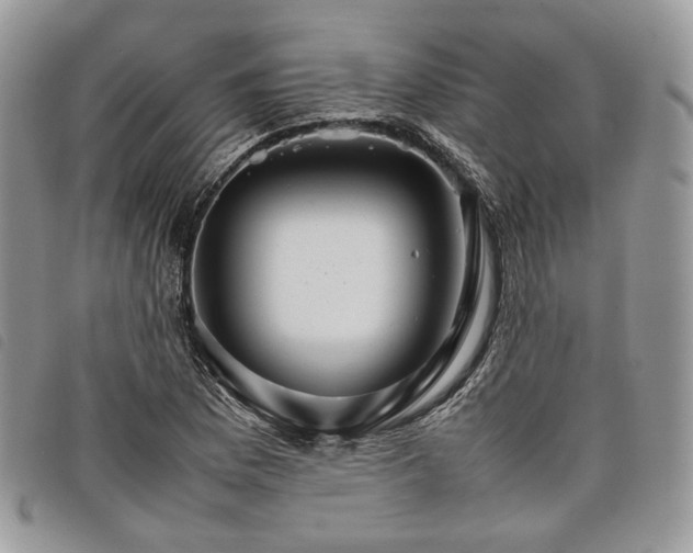 X0000098041169200804071433