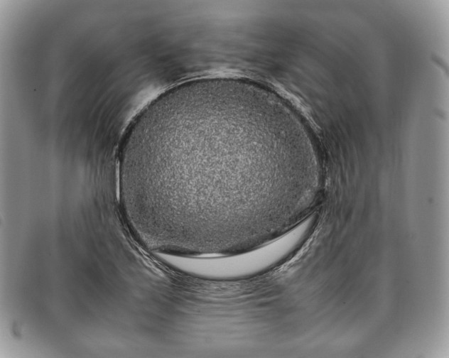 X0000098041171200804071433