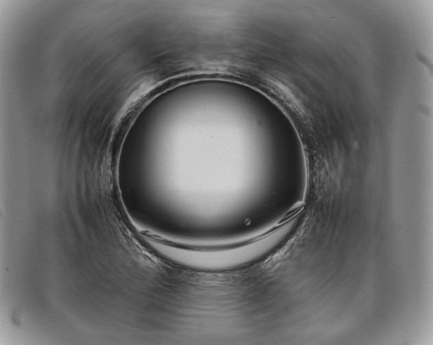 X0000098041172200804071433