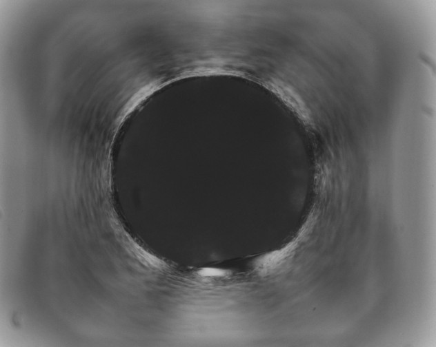 X0000098041173200804071433