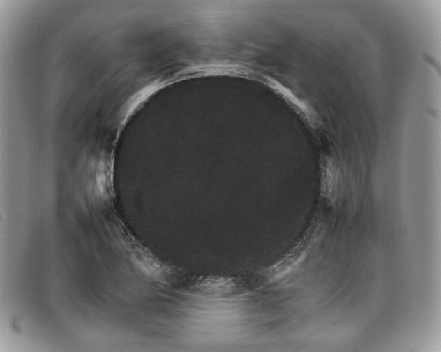 X0000098041174200804071433