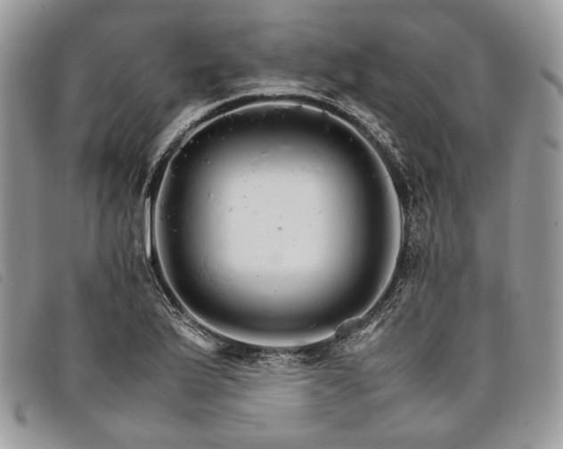X0000098041175200804071433