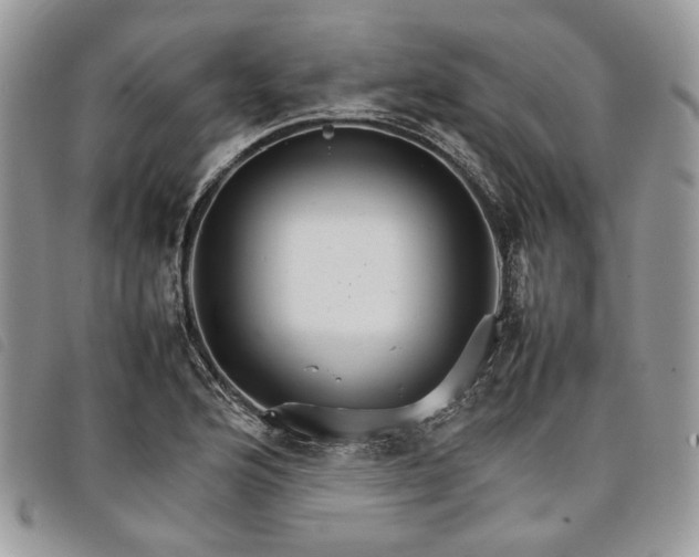 X0000098041176200804071433