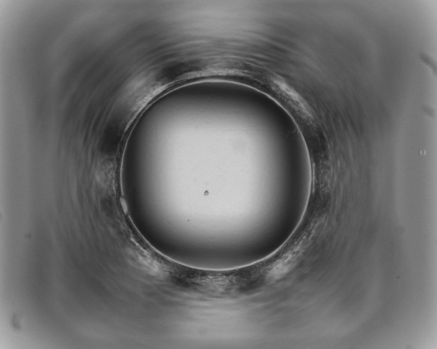 X0000098041177200804071433