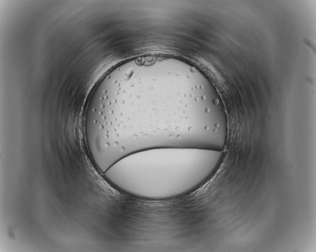 X0000098041182200804071433