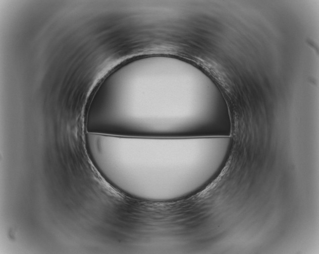 X0000098041184200804071433