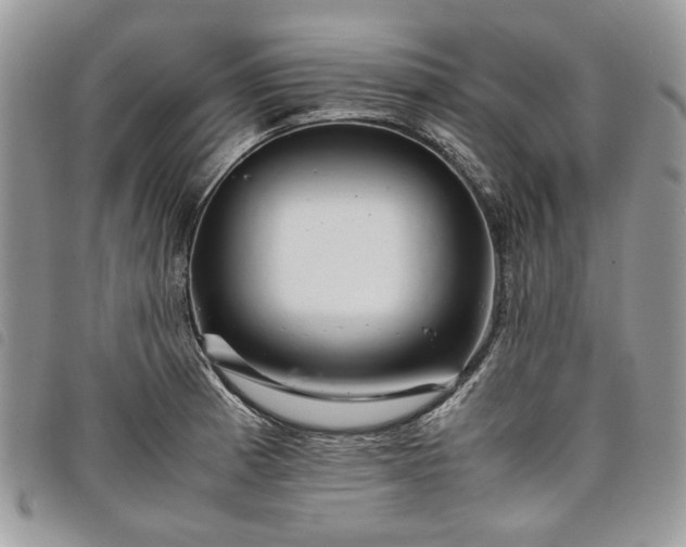 X0000098041185200804071433