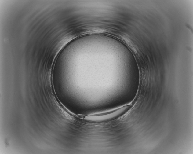 X0000098041186200804071433