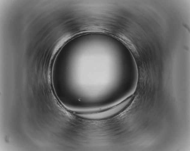 X0000098041188200804071433